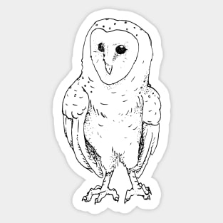 Pen and Ink Barn Owl Sticker